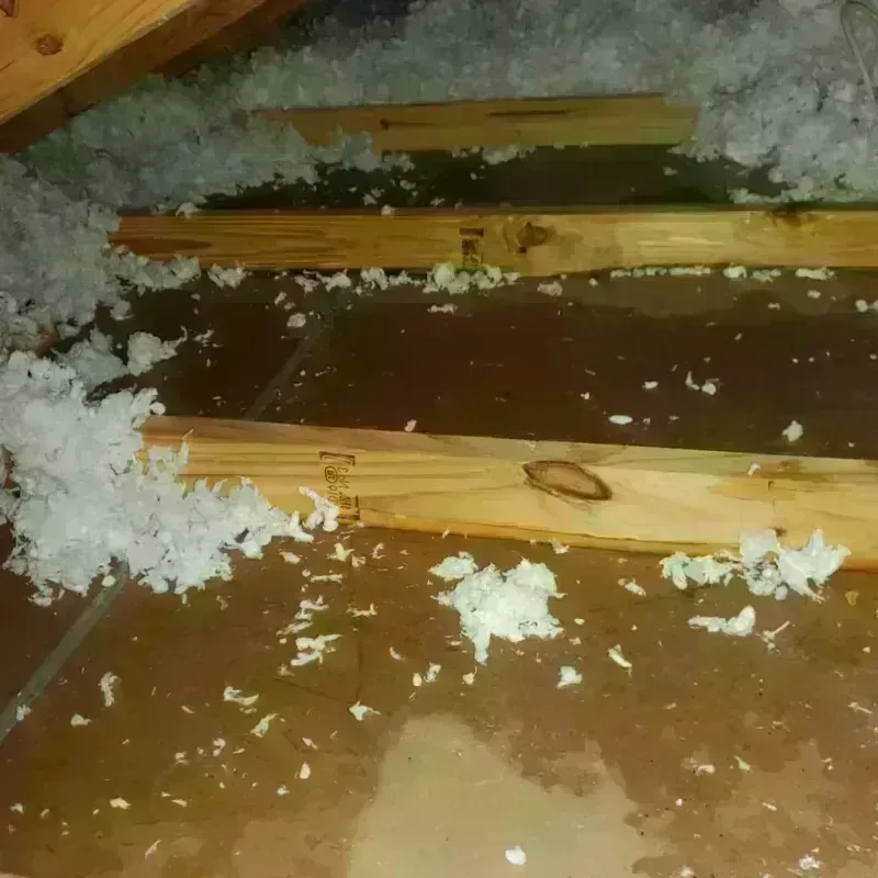 Attic Water Damage in Nelsonville, OH